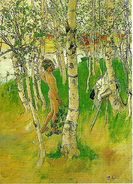 Carl Larsson ulf en naken pojke mellan bjorkstammar-ulf badar pa bullerholmen oil painting picture